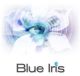 Blue Iris 5.5.4.0 Crack 2022 With Torrent (Mac) Full Free Download